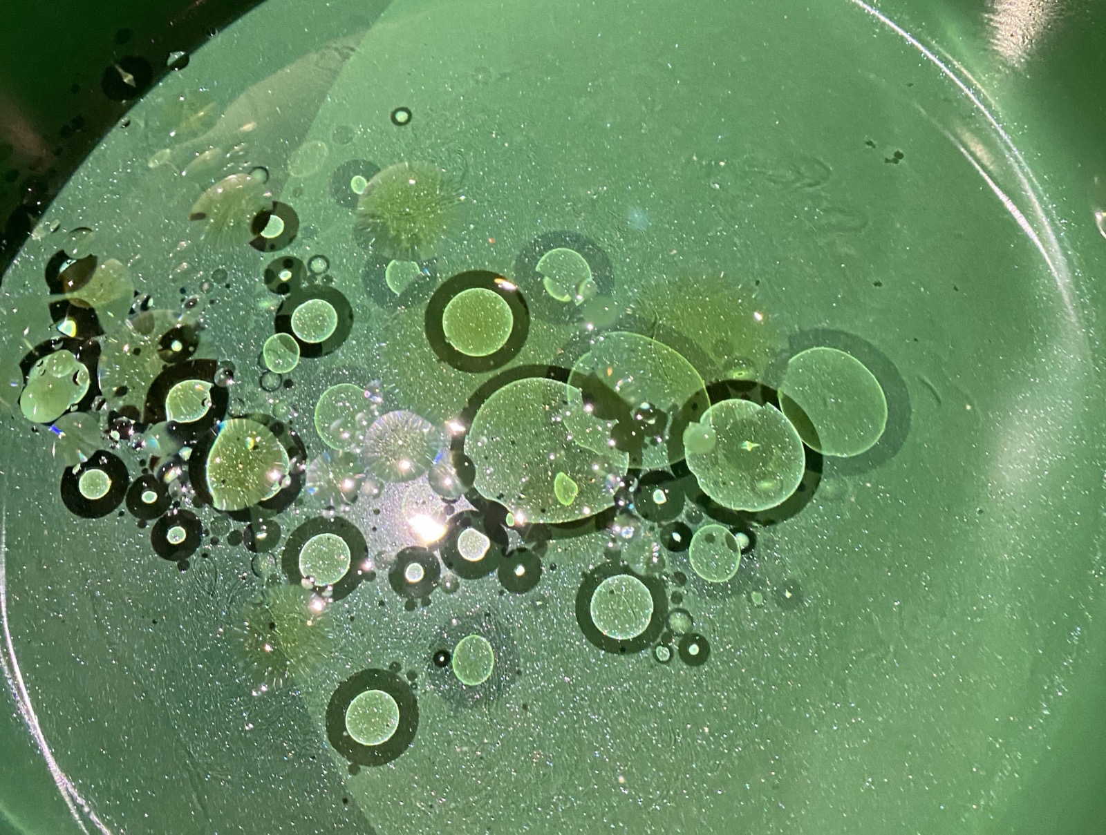 Oil Water