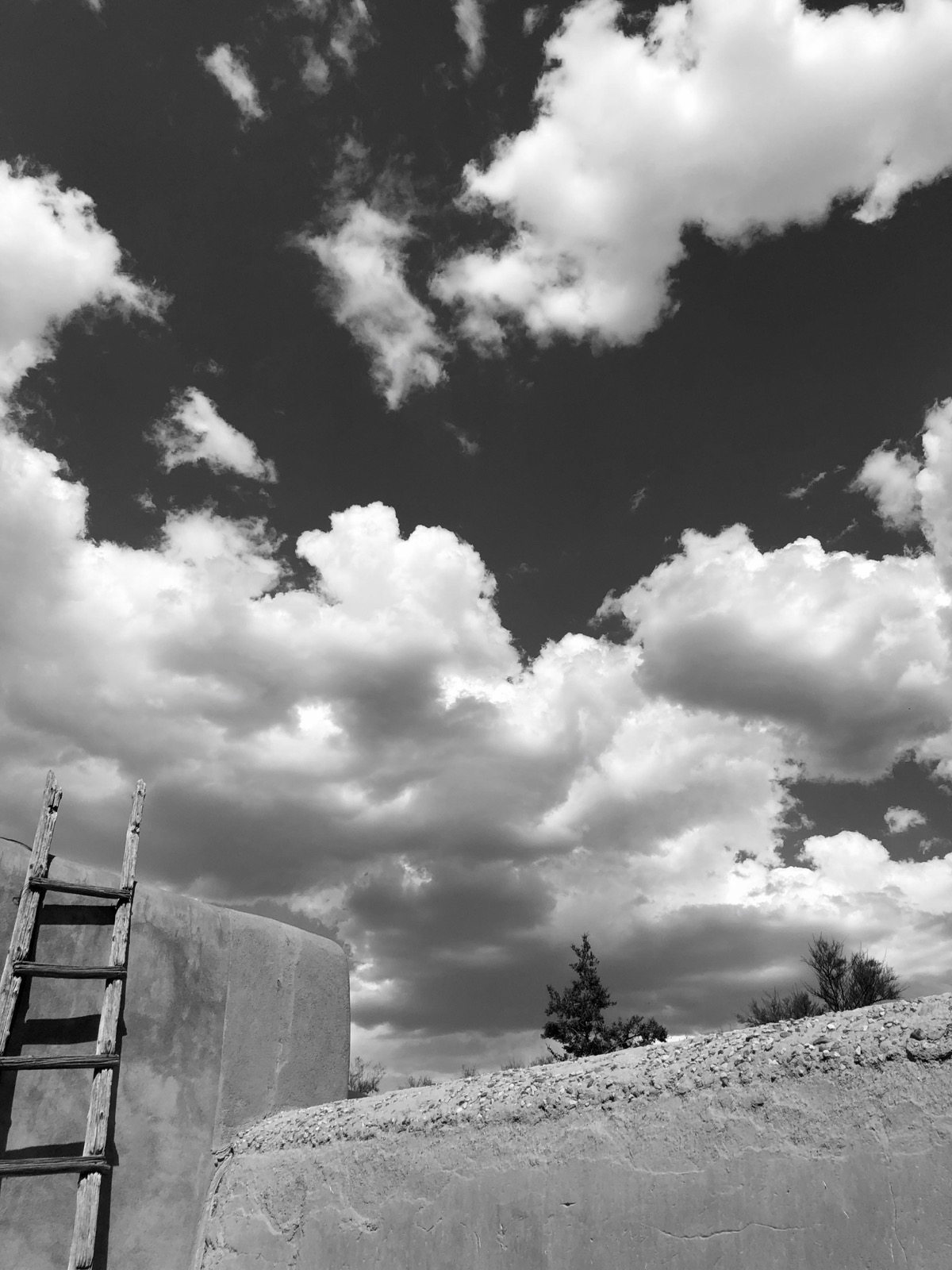 Ladder