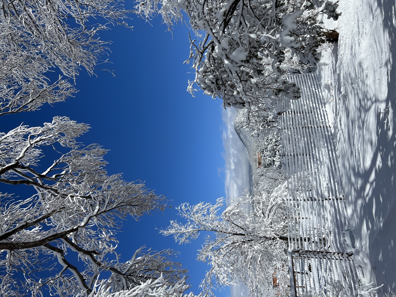 Snow Frame