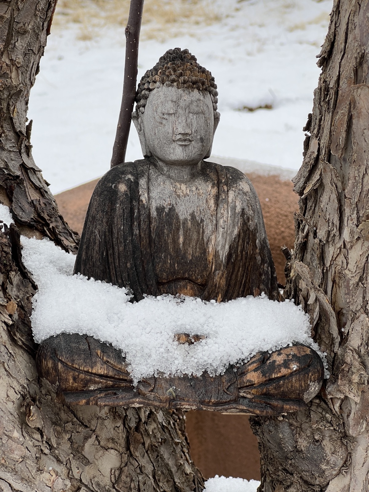 Cold Buddha